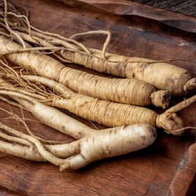 Panax Ginseng